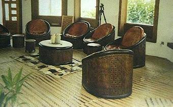 SALON2-tronc.JPG (20441 octets)
