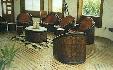 SALON2-tronc.JPG (3607 octets)