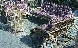 salon2-can-Couss.jpg (4564 octets)