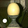 P-oeuf-Autru-H40.jpg (3774 octets)