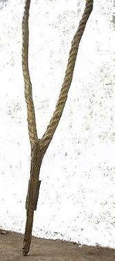 antilope2.jpg (13131 octets)